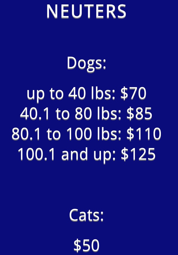 Rascal Unit Schedule 2022 Spay/Neuter Clinic - Luv4K9S